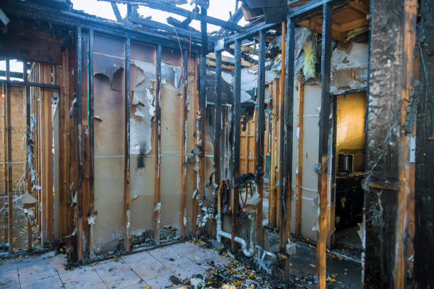 Professional Odor Removal technician working in New Madison, OH